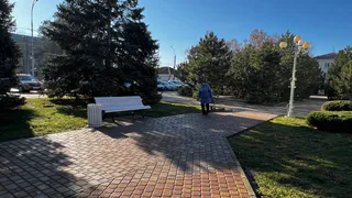 Пенсионеры ликуют: теперь им не придется платить за транспорт, лекарство и ЖКХ - заявления будут принимать с 7 марта