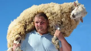 В Нижнекамске назвали имя батыра Сабантуя-2016