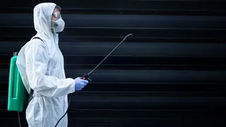 Верхний Красносельский пруд во Владимире обработают от грызунов