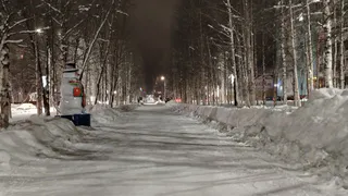 «Кошмар перед Рождеством». Синоптики раскрыли пугающий прогноз на новогодние праздники