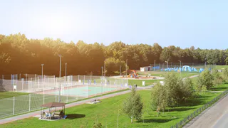 Поверим на слово: Метшин обещал, что деревья на «Солнечной поляне» не вырубят