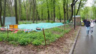 Жители Рязани продолжают голосовать за объекты благоустройства