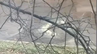 Соцсети - на улице в Дашково-Песочне бьет кипяток: мэрия прокомментировала ситуацию