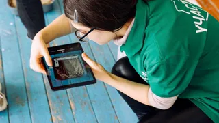 Победы нижнекамских профессионалов