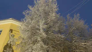 19 января на северо-востоке Коми сгущаются морозы, в центре и на юге пройдёт снег