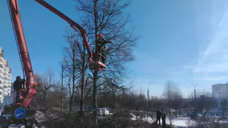 Владимирские коммунальщики восстановили освещение на нескольких улицах и в парках города