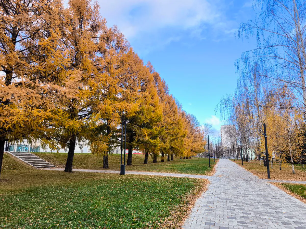 Совет ветеранов предложил назвать улицы Нижнекамска в честь Лемаева и Королёва
