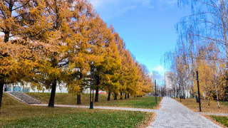 Совет ветеранов предложил назвать улицы Нижнекамска в честь Лемаева и Королёва