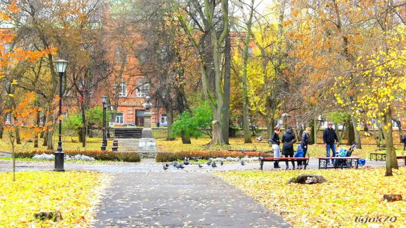 11 октября на территории Пензенской области синоптики прогнозируют облачную погоду без осадков