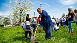 В Рязани 100 волонтеров высадили 18 елей