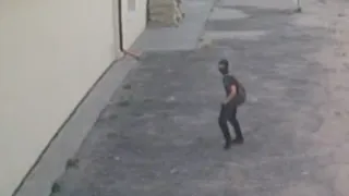 Банду рязанских школьников могут посадить на 5 лет