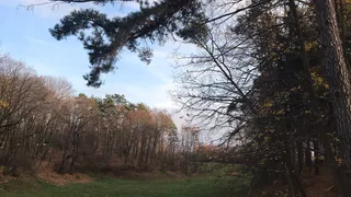 Прогноз погоды: во вторник в Рязани будет тепло