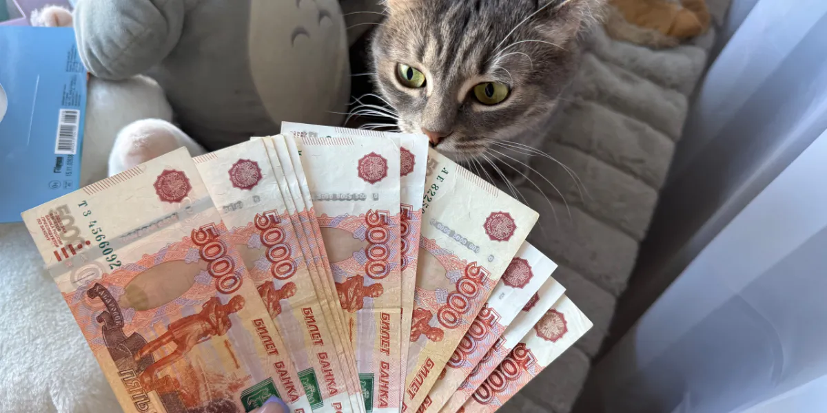 В Рязанской области проиндексировали пенсию