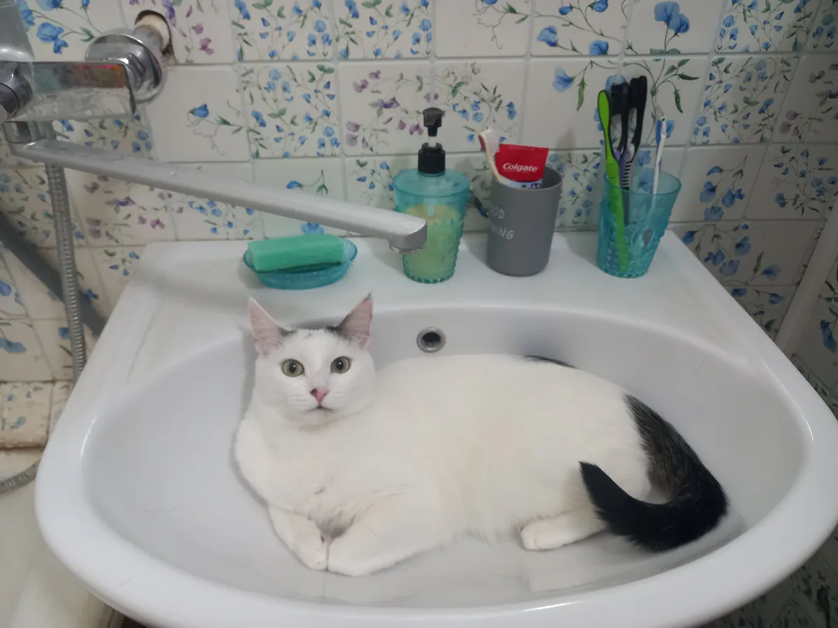 Вопрос с отсутствием горячей воды в Нижнекамске решат до 15 сентября