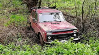 Instagram-подборка от Pro Города - как рязанцы понедельник провели