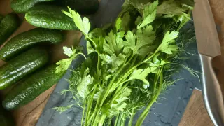 Готовлю огурчики "Бродячие": рецепт огурцов на зиму от моей свекрови - ни разу за 30 лет она не попробовала другие рецепты