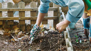 Сыпьте в июле на грядки – урожай утроится без лишних затрат: простая альтернатива навозу, которая работает даже на бедных почвах