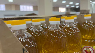 Янтарная гадость в красивой бутылке: Росконтроль назвал худшие бренды растительного масла        
