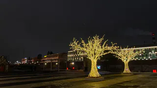 В центре Рязани зажгли первые новогодние огни