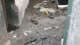 «Как из фильма ужасов»: жители улицы Попова месяц дышат фекалиями из-за протечки канализации в доме