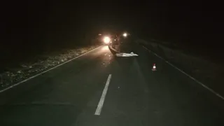 Смерть на дороге: в Рязанской области москвич на автомобиле “Ленд Ровер” сбил пешехода