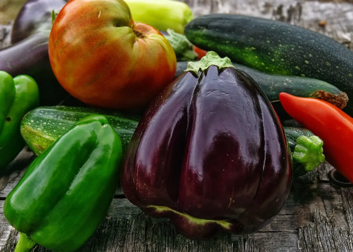 Копеечная подкормка для рассады: помидоры и перцы вырастут крепкими и здоровыми как молодые "дубки"