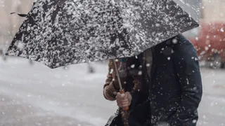 Сильный ветер обрушится на Брянскую область