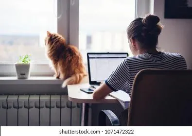 Россиян снова переведут на удаленную работу