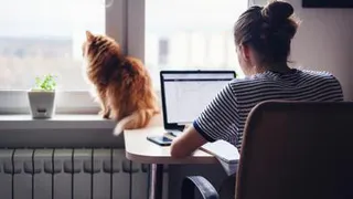 Россиян снова переведут на удаленную работу