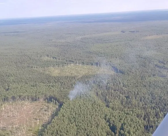 Два лесных пожара одновременно обнаружили в окрестностях Сыктывкара