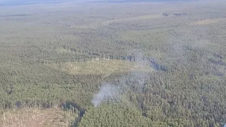 Два лесных пожара одновременно обнаружили в окрестностях Сыктывкара