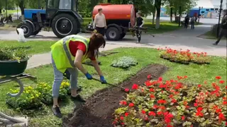 Владимирским подросткам предложили "Путевку в трудовое лето"