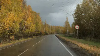 Когда начнут строить Южный обход Рязани? Министр транспорта РФ дал ответ