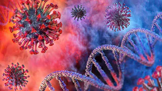 В Брянской области за сутки было подтверждено 95 случаев Covid-19