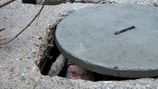 СМИ разглядели на Брянщине рост экономики