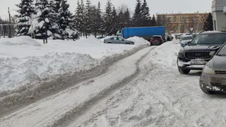 «Из года в год проблема на внутренней дороге Химиков, 53, не чистят никогда» 