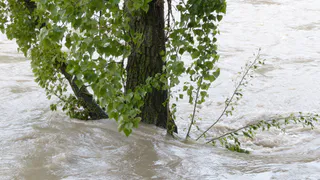 Это лето станет аномальным, даже по современным меркам: синоптики обнародовали новый прогноз