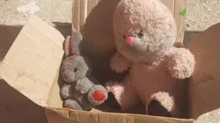 «Крайне опасно!»: владимирцам напоминают, как нужно поступать с найденными бесхозными вещами