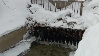 Поисковики «Мещеры» опубликовали фото с места гибели 19-летнего рязанца Ивана Брысина