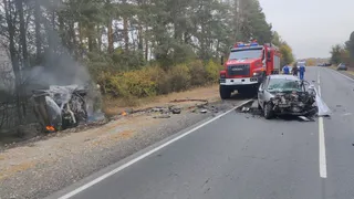 Два погибших и горящее авто: под Муромом лоб в лоб столкнулись легковушка и микроавтобус