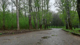 Тепла не будет: прогноз на майские праздники в Рязани