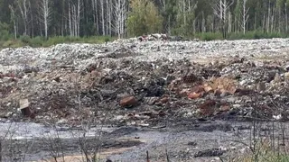 Малков заявил о намерении добиться полного закрытия мусорной свалки в Турлатове