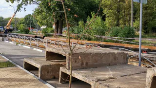 Соцсети: коммунальщики опять разворотили свежий асфальт