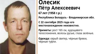 Во Владимирской области разыскивают пропавшего 67-летнего мужчину из Беларуси