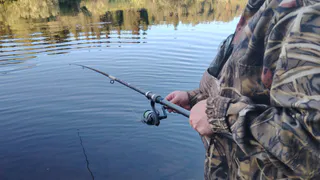 В Магнитогорске осудили браконьеров за незаконный вылов рыбы в нерестовый период