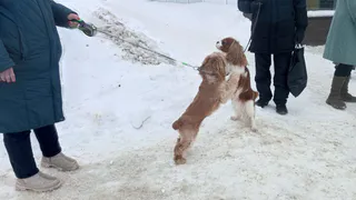 Четверг и пятница станут выходными: россиян уже переводят на трехдневную рабочую неделю