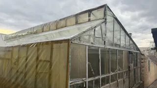 Закрывать или открывать двери теплицы на зиму: агрономы дали четкий ответ - полезно знать всем дачникам