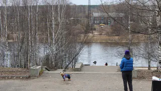 Майские каникулы отменяются: даты выходных перенесли из-за печальной ситуации