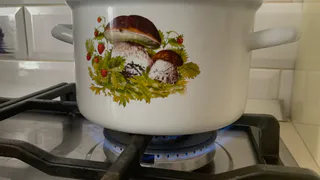 Указ уже подготовили: с 1 декабря штраф 1500 рублей в сутки для собственников квартир с газовой плитой