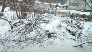 Помойка все еще на месте: блогер Детинов обвиняет мэра Касимова во лжи